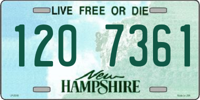NH license plate 1207361