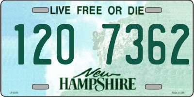 NH license plate 1207362