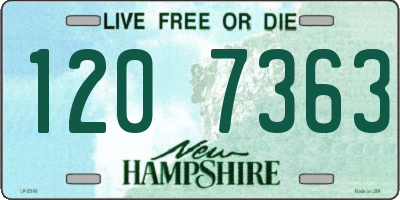 NH license plate 1207363