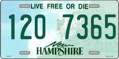 NH license plate 1207365