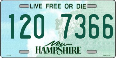 NH license plate 1207366