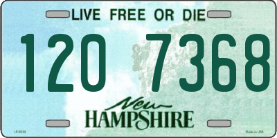 NH license plate 1207368