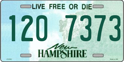 NH license plate 1207373