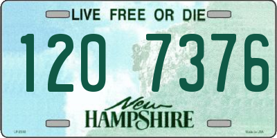 NH license plate 1207376
