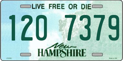 NH license plate 1207379