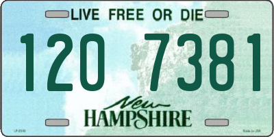 NH license plate 1207381