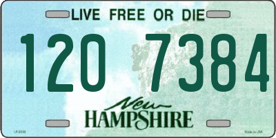 NH license plate 1207384