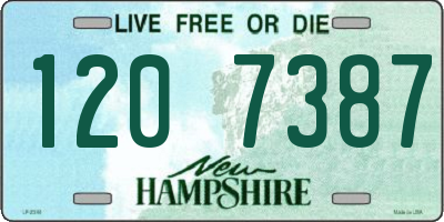 NH license plate 1207387