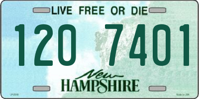 NH license plate 1207401