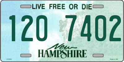 NH license plate 1207402