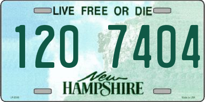 NH license plate 1207404