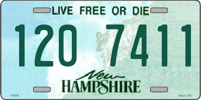 NH license plate 1207411