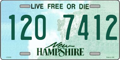 NH license plate 1207412