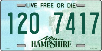 NH license plate 1207417