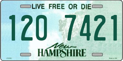 NH license plate 1207421