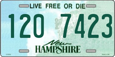 NH license plate 1207423