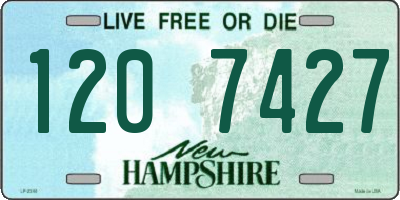 NH license plate 1207427