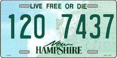 NH license plate 1207437
