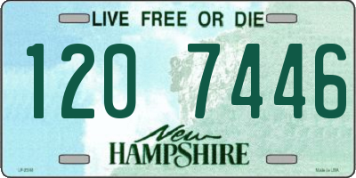 NH license plate 1207446