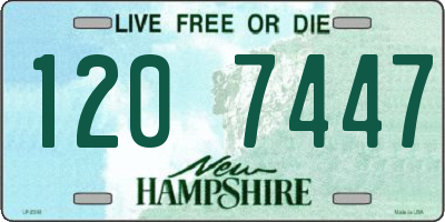 NH license plate 1207447