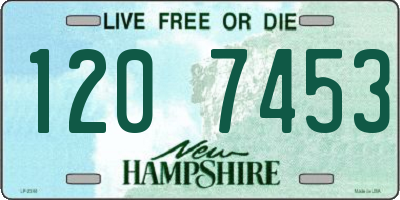 NH license plate 1207453