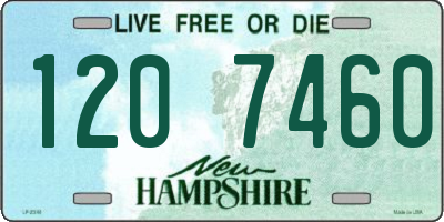 NH license plate 1207460
