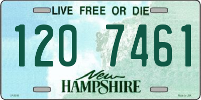 NH license plate 1207461