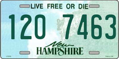 NH license plate 1207463