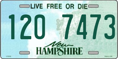 NH license plate 1207473