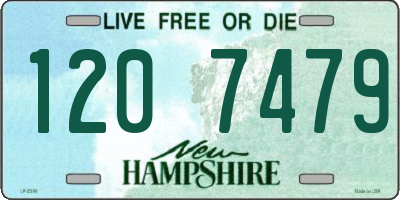 NH license plate 1207479