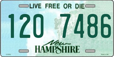 NH license plate 1207486