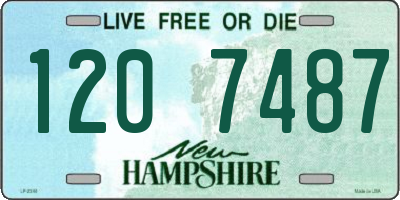 NH license plate 1207487