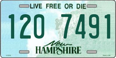 NH license plate 1207491