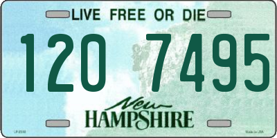 NH license plate 1207495