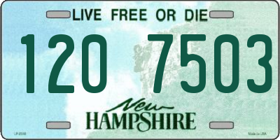 NH license plate 1207503