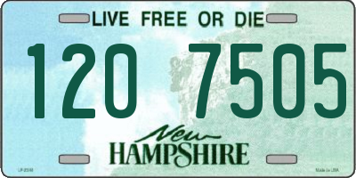 NH license plate 1207505