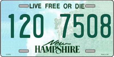 NH license plate 1207508