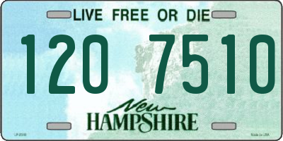NH license plate 1207510