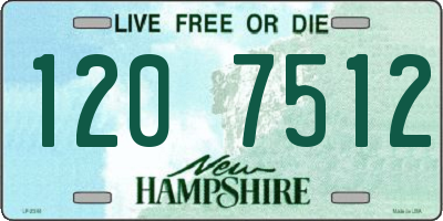 NH license plate 1207512