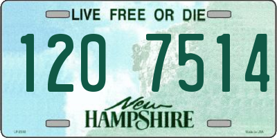 NH license plate 1207514