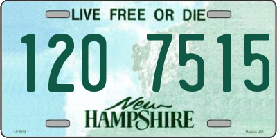 NH license plate 1207515