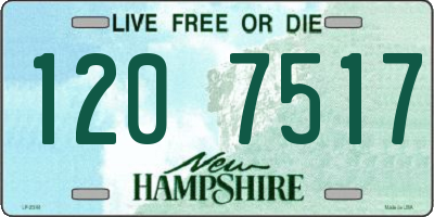 NH license plate 1207517