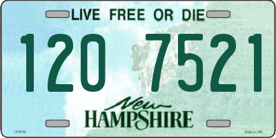 NH license plate 1207521