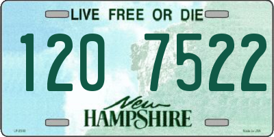 NH license plate 1207522