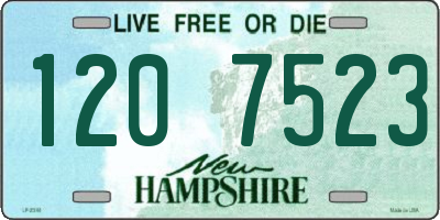 NH license plate 1207523