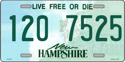 NH license plate 1207525