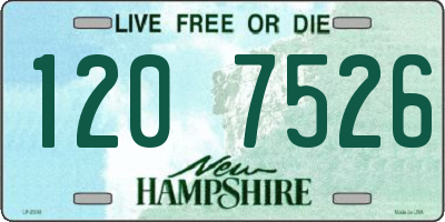 NH license plate 1207526