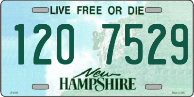 NH license plate 1207529