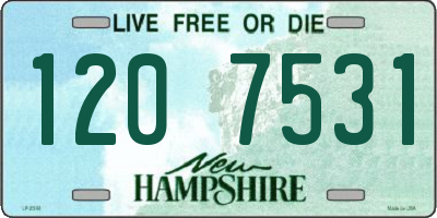NH license plate 1207531