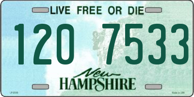 NH license plate 1207533